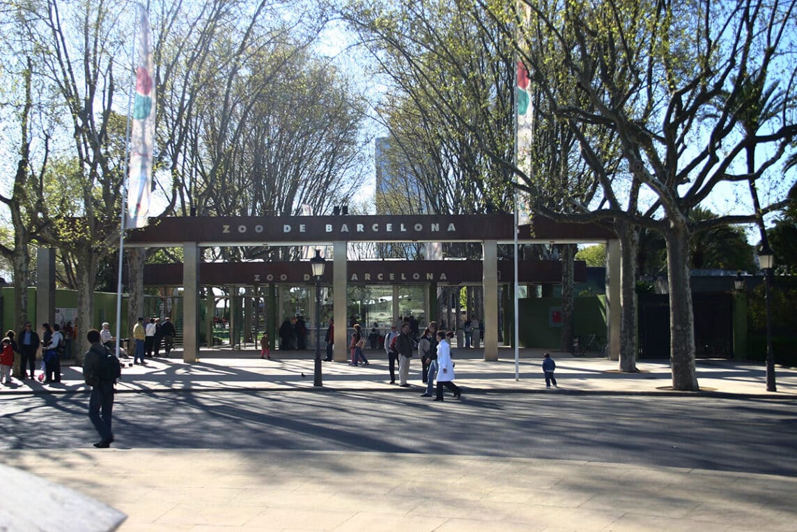 Consejos para aprovechar al máximo el zoo de Barcelona