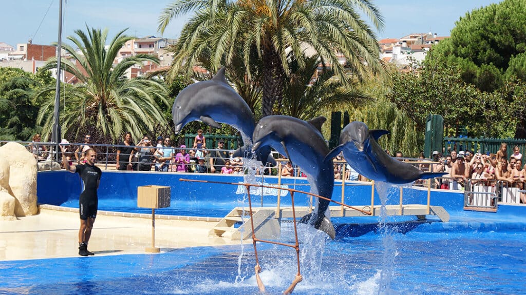 Mejores parques acuáticos de Cataluña