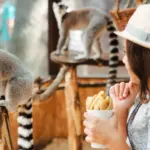 Consejos para aprovechar al máximo el zoo de Barcelona