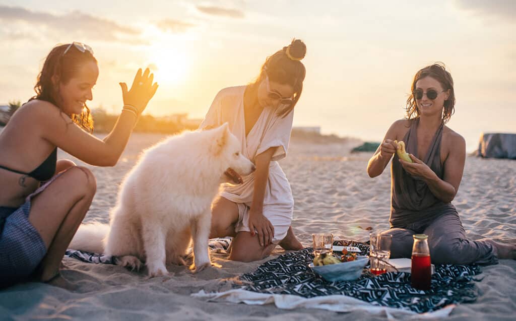 Playas para compartir con tu mascota en verano