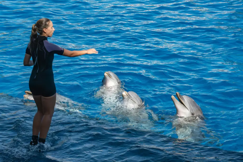 Mejores parques acuáticos de Cataluña